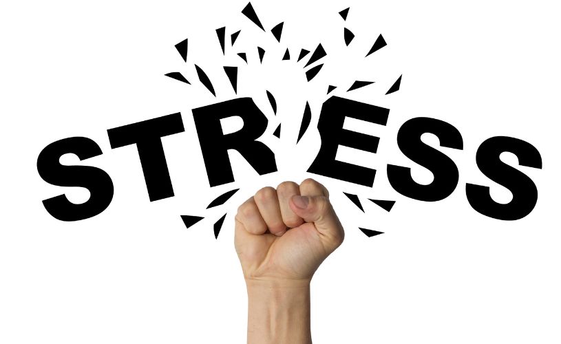Exploring Stress Management Activities